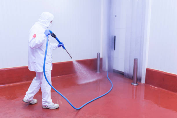 Pre-Holiday Cleaning in Eagle Lake, FL